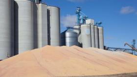 Россия закупила на Национальной товарной бирже 9 450 тонн зерна